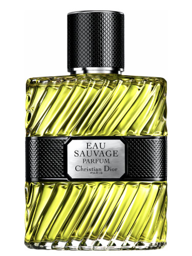 Christian Dior Eau Sauvage Parfum Spray for Men