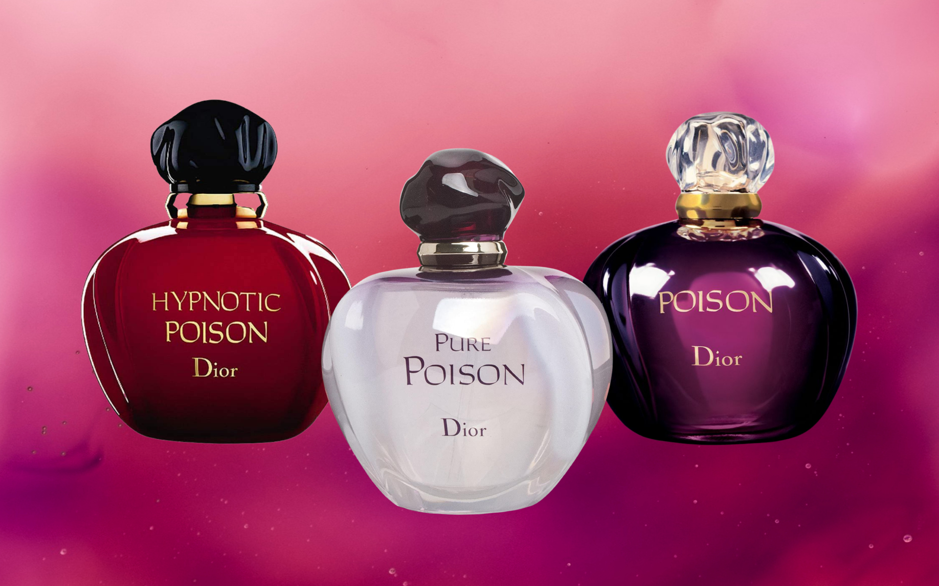 What Perfume does Adele wear