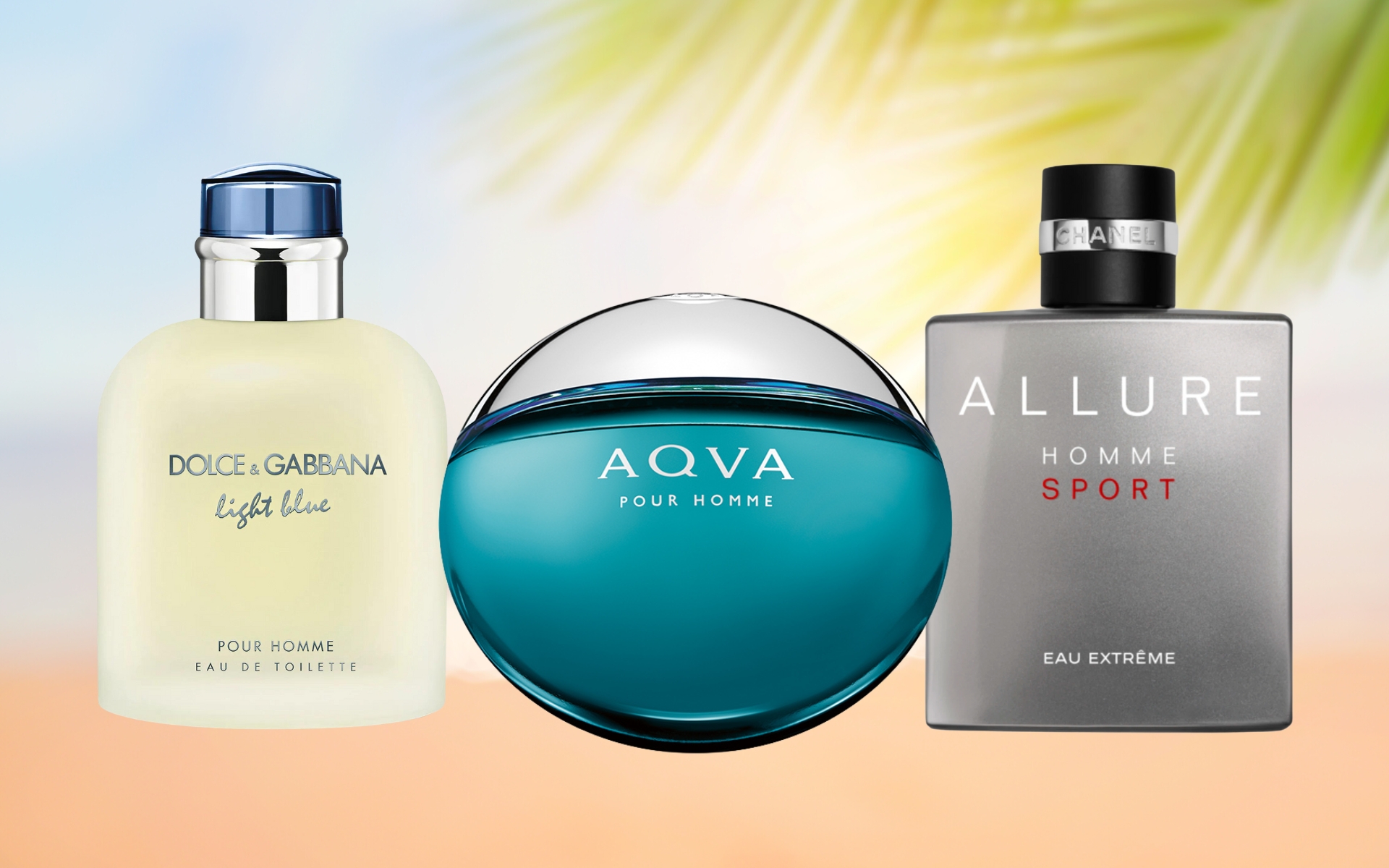 8 Best Summer Fragrances for Men (In 2023)