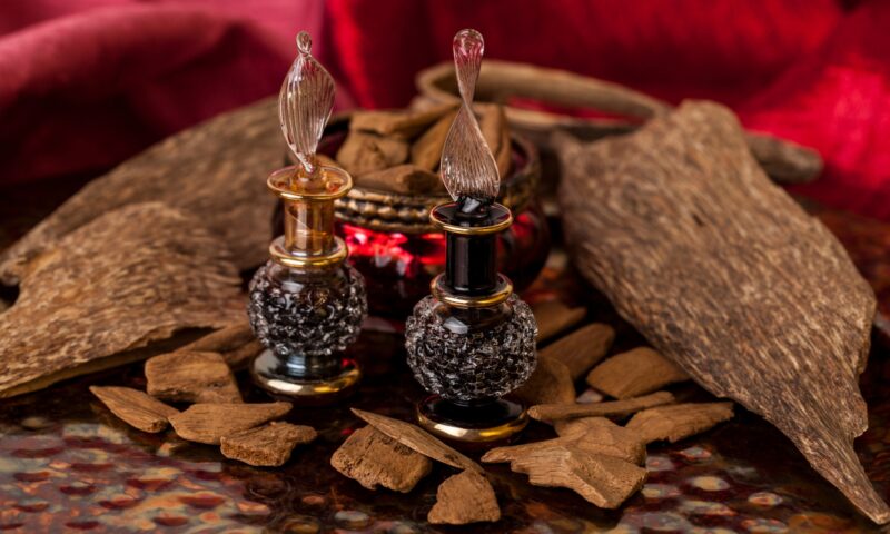 What Does Oud Smell Like - Plus Top Perfumes