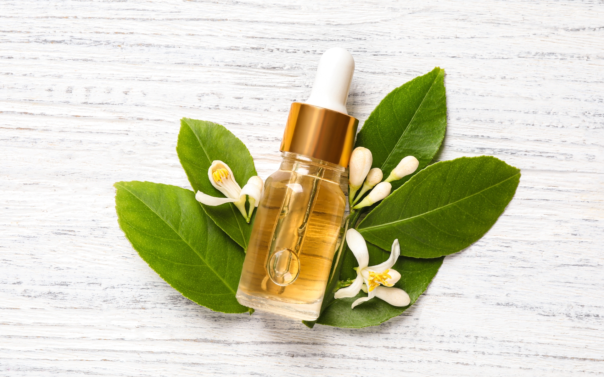 What Does Neroli Smell Like - Plus Top Fragrances