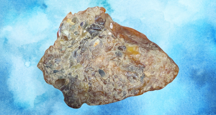 What is Ambergris